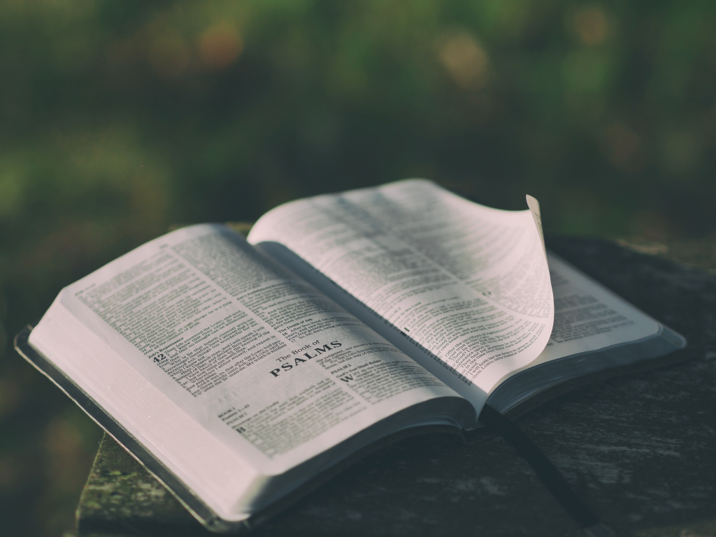 pexels bible 1846174.webp